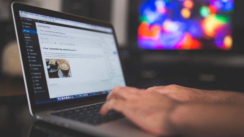 谁在整理这些内容 示意图